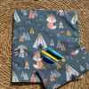 livre de coloriage lavable ecolo renard indien